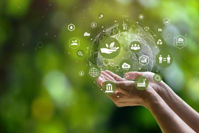 Strategie e innovazioni nella Sustainability