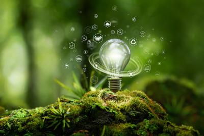 Workshop Strategie e innovazioni: Sustainability